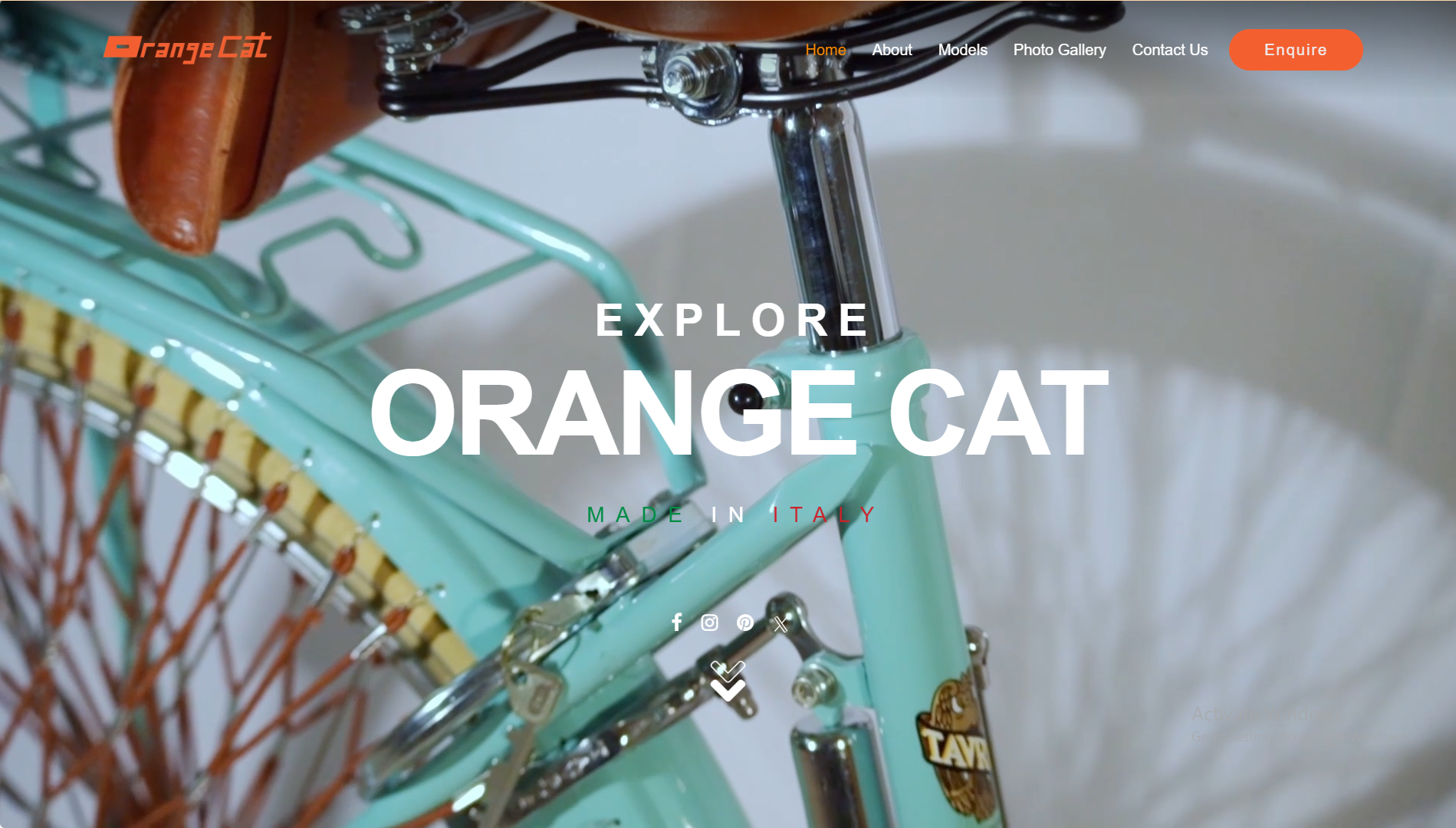 Orange Cats